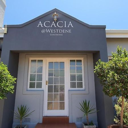 Acacia Westdene B&B Bloemfontein Kültér fotó