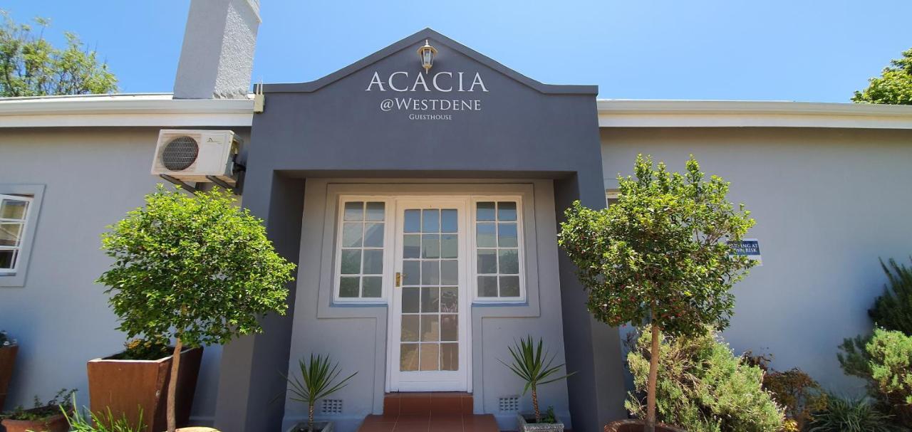 Acacia Westdene B&B Bloemfontein Kültér fotó